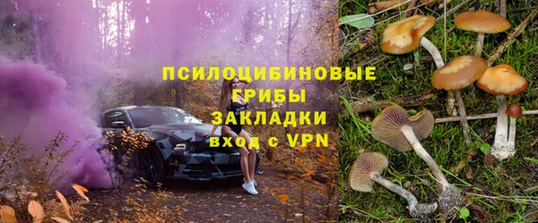эйфоретик Богородицк