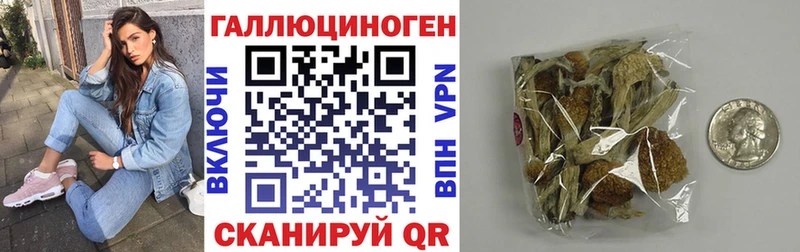 Галлюциногенные грибы Cubensis  цена   Егорьевск 